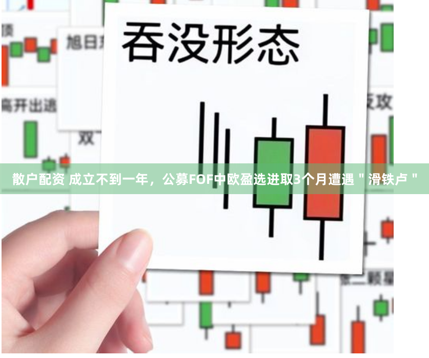 散户配资 成立不到一年，公募FOF中欧盈选进取3个月遭遇＂滑铁卢＂